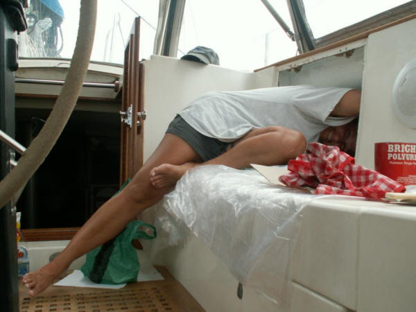 Photo - The cleaning fiend